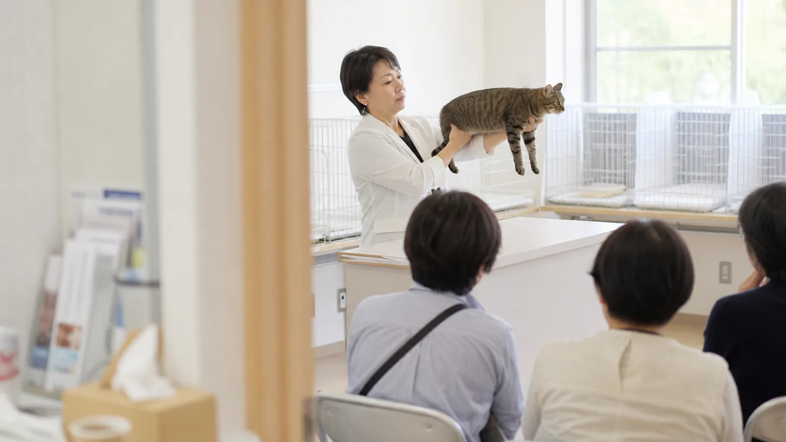 会場の審査台の後ろで、短毛のキジトラの猫を両手で持ち上げて体のラインを見る女性の審査員と、手前の椅子に座る見学者たち