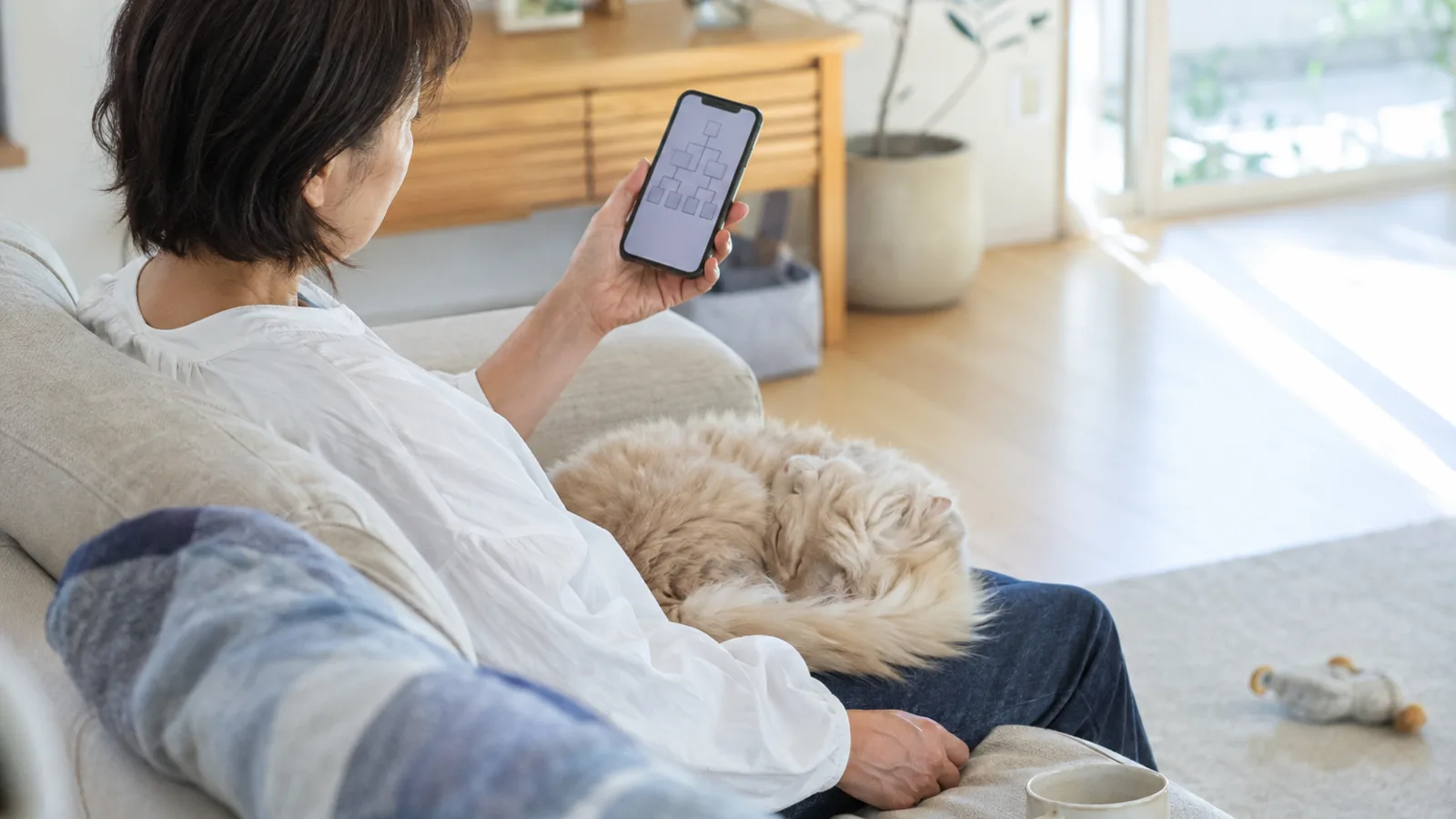 ソファでスマートフォンの家系図の画面を見る女性と、そのももに寄り添って丸くなる長毛のクリーム色の猫