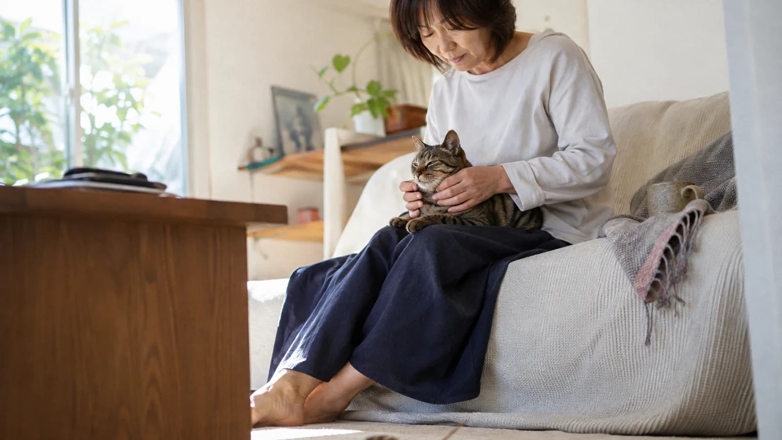 ソファでひざの上のキジトラ猫のあごから胸にかけて両手でそっと触れる女性