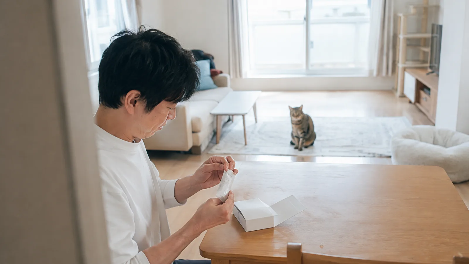 テーブルで綿棒の袋を開ける男性の手元と、無地の白い箱、奥に座って見ているキジトラ猫