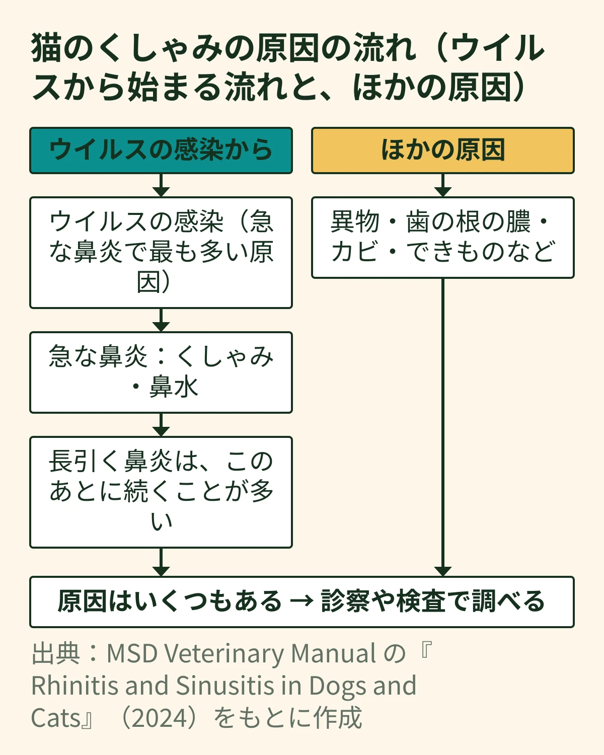 ウイルスの感染から急な鼻炎のくしゃみと鼻水が出ること、長引く鼻炎はそのあとに続いて起こることが多いという流れと、異物・歯の根の膿・カビ・できものなどのほかの原因を並べた、くしゃみの原因の図