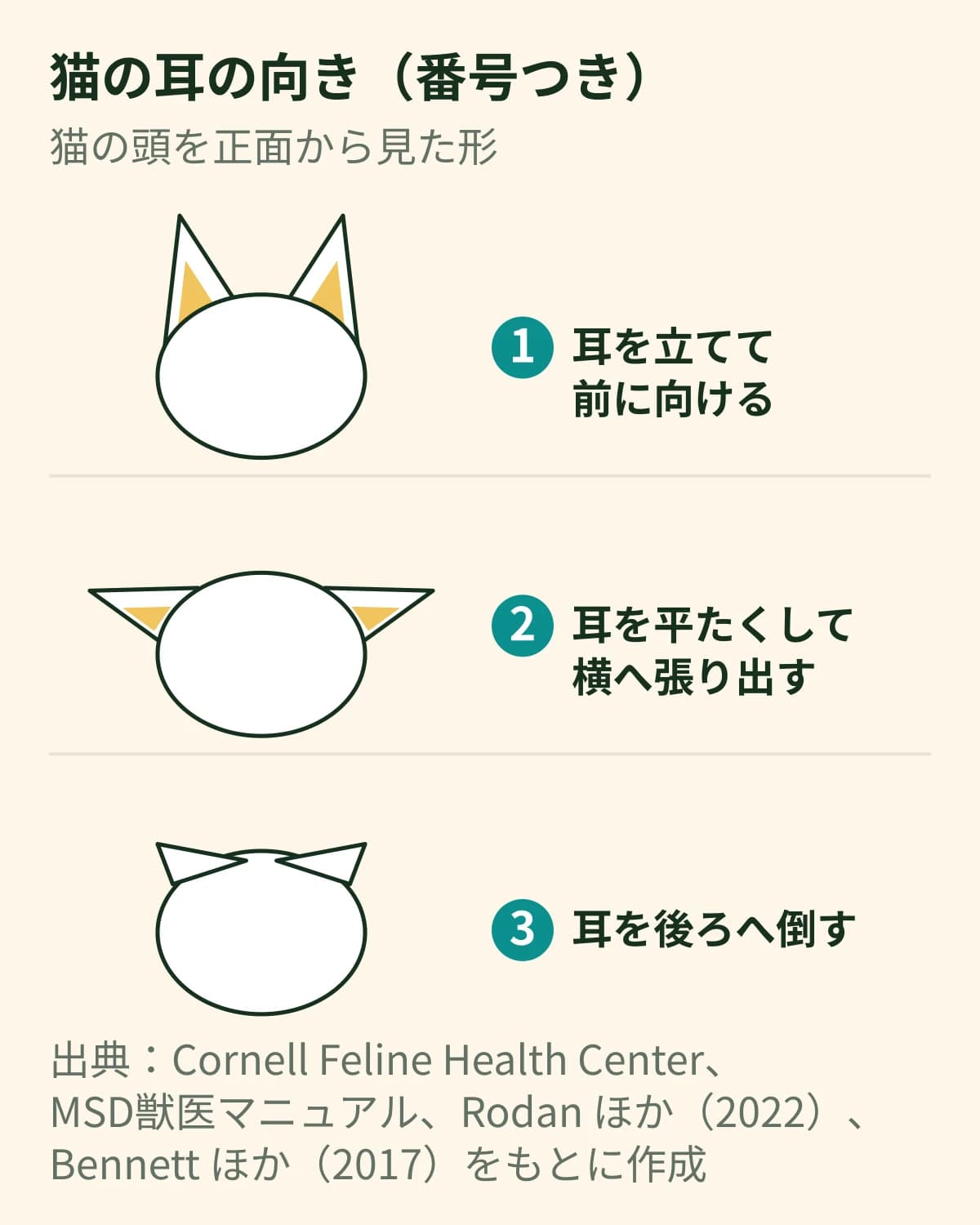 猫の頭を正面から見た図。①耳を立てて前に向けた形、②耳を平たくして横へ張り出した形、③耳を後ろへ倒した形の3つに番号をつけて並べている