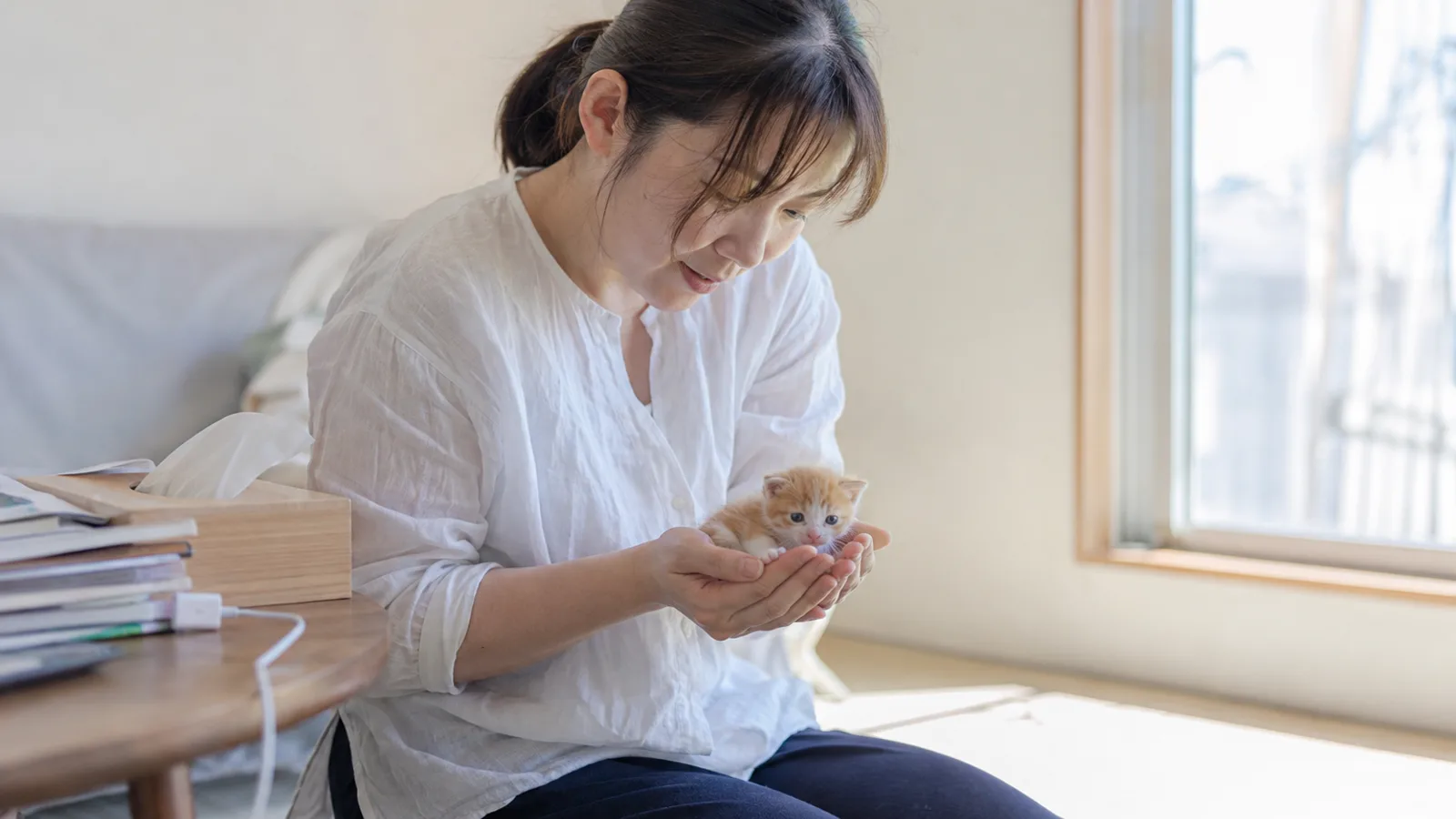 女性の両手のひらにすっぽり収まる、生まれて間もない茶と白の子猫