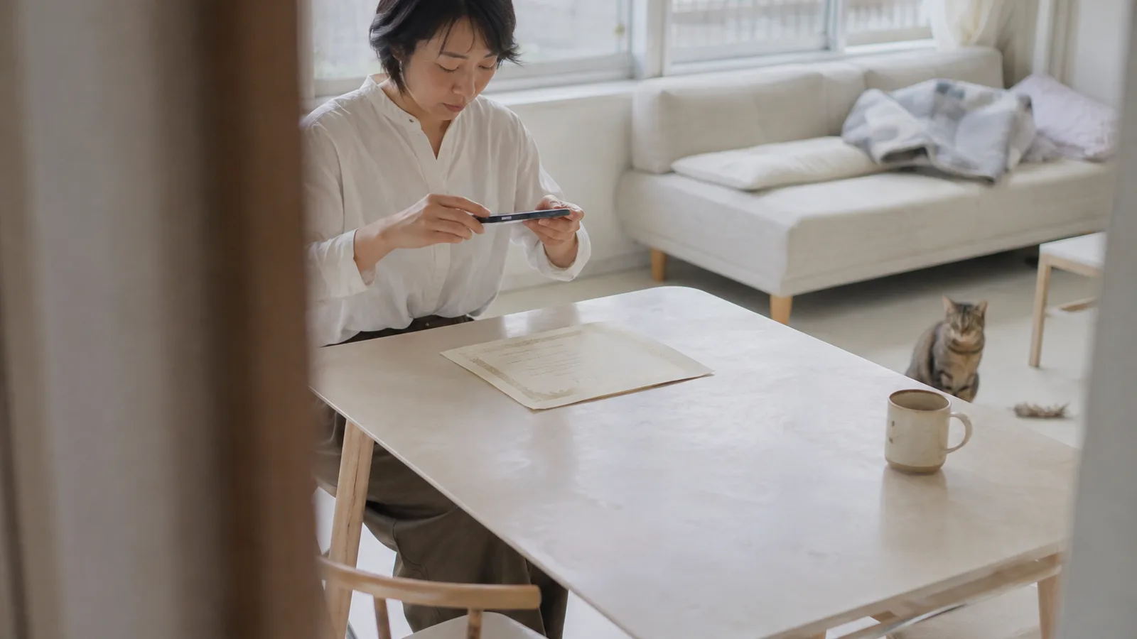 テーブルに置いた架空の証明書をスマートフォンで撮る女性と、奥に座るキジトラ猫