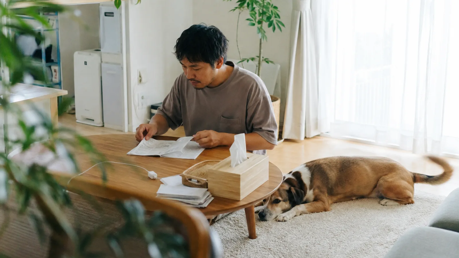 ローテーブルで架空の冊子のページをめくる男性と、足元に伏せる中型ミックス犬