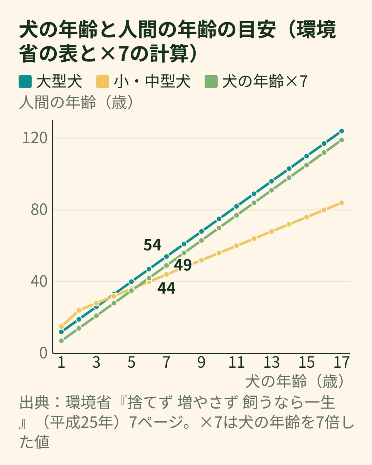 犬の年齢1〜17歳と人間の年齢のグラフ。7歳で大型犬54歳・小・中型犬44歳・×7は49歳。小・中型犬は2歳で24歳、その後は1年に4歳ずつ