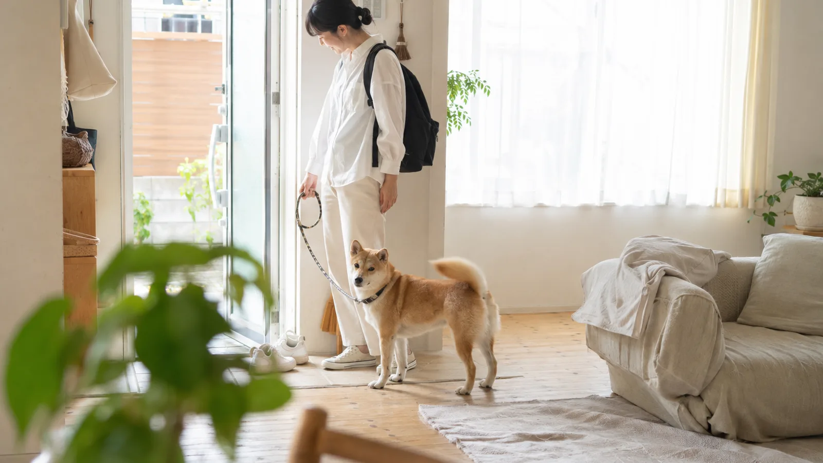 玄関でリュックを背負いリードを持つ女性と、リードにつながれてそばに立つ柴犬
