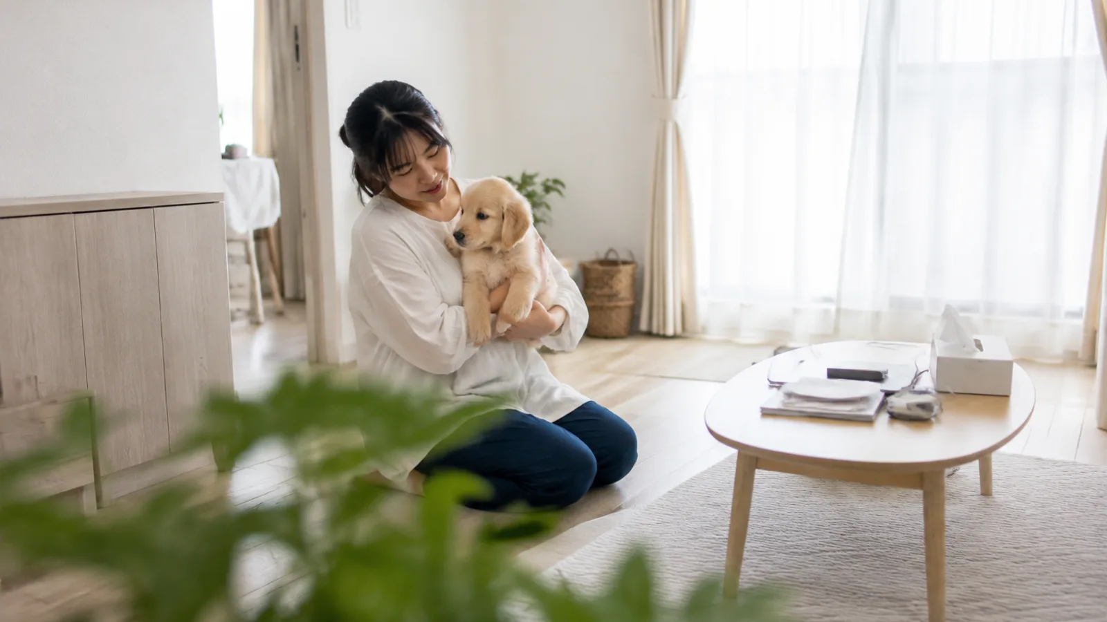 床に座って、大人の前腕ほどの体長のゴールデン・レトリーバーの子犬を両手で胸に抱える女性