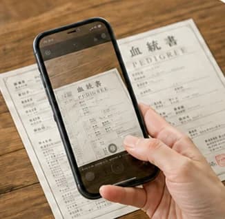 スマホで血統書を撮影しているようす